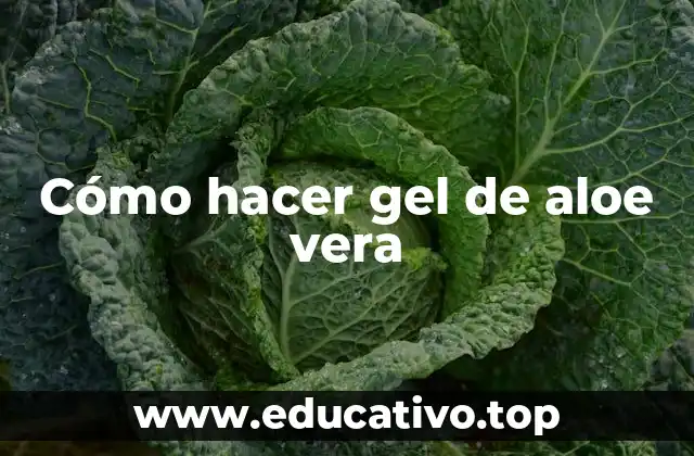 Cómo hacer gel de aloe vera