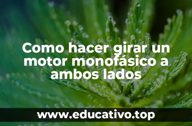 Como hacer girar un motor monofásico a ambos lados