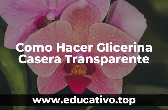 Como Hacer Glicerina Casera Transparente