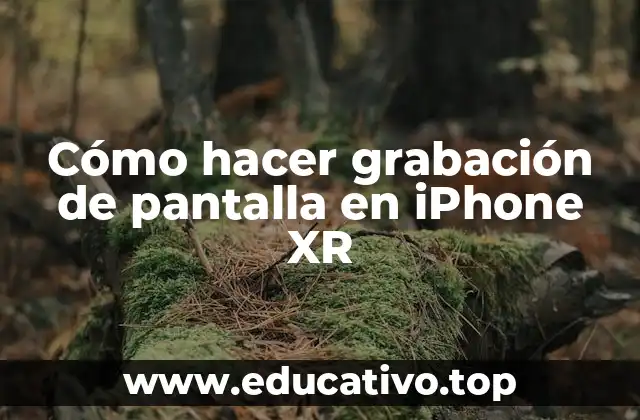 Cómo hacer grabación de pantalla en iPhone XR