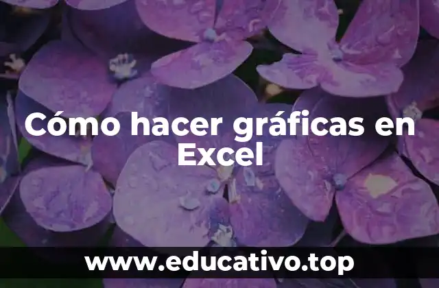 Cómo hacer gráficas en Excel
