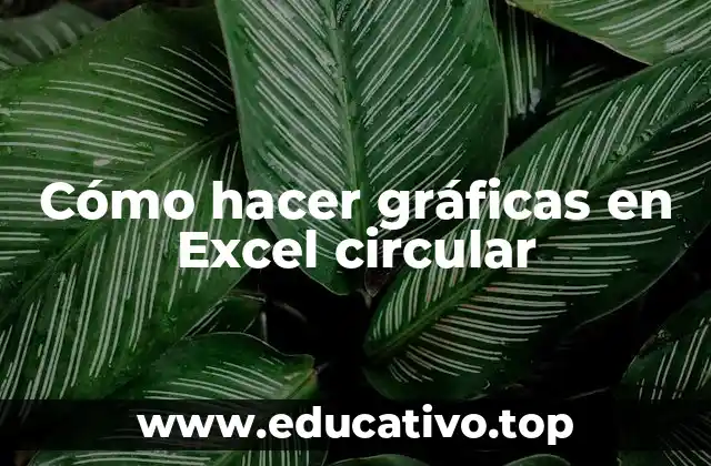 Cómo hacer gráficas en Excel circular