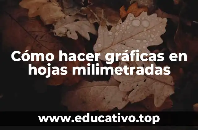 Cómo hacer gráficas en hojas milimetradas