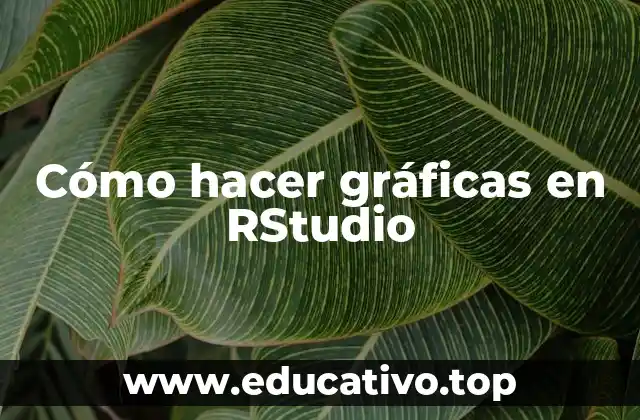 Cómo hacer gráficas en RStudio
