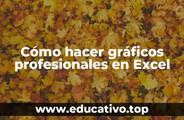 Cómo hacer gráficos profesionales en Excel