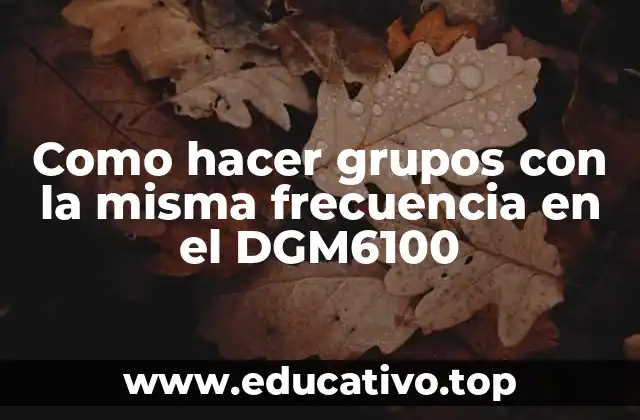 Como hacer grupos con la misma frecuencia en el DGM6100