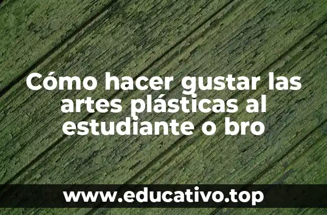 Cómo hacer gustar las artes plásticas al estudiante o bro