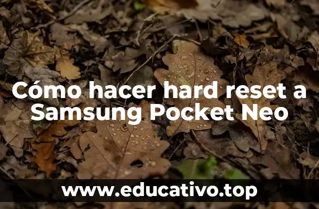 Cómo hacer hard reset a Samsung Pocket Neo