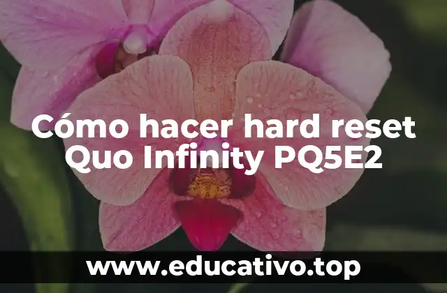 Cómo hacer hard reset Quo Infinity PQ5E2