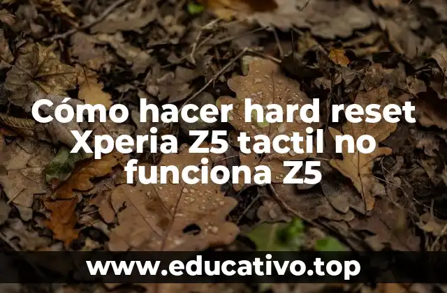 Cómo hacer hard reset Xperia Z5 tactil no funciona Z5