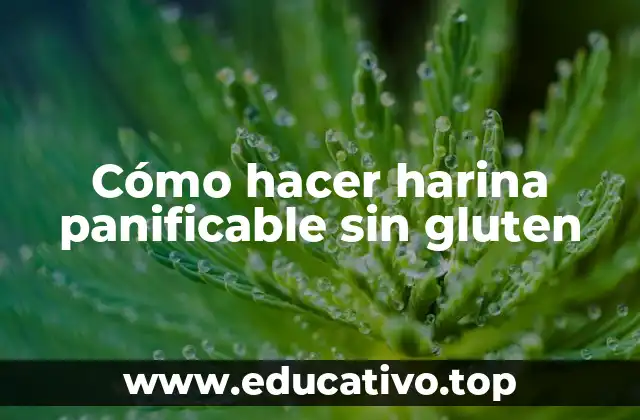 Cómo hacer harina panificable sin gluten