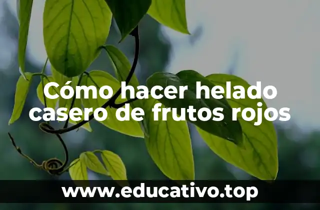 Cómo hacer helado casero de frutos rojos