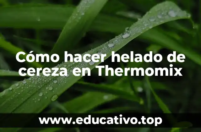 Cómo hacer helado de cereza en Thermomix