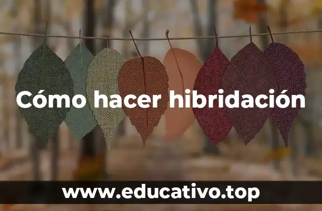 Cómo hacer hibridación
