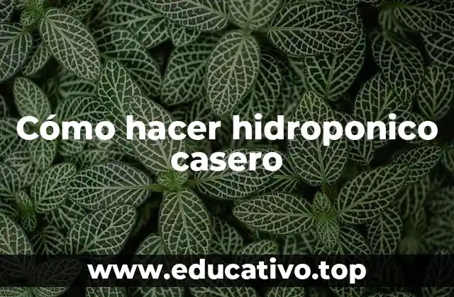 Cómo hacer hidroponico casero