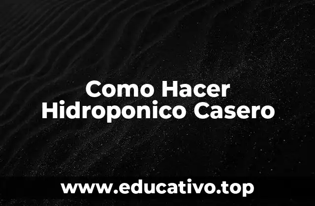 Como Hacer Hidroponico Casero