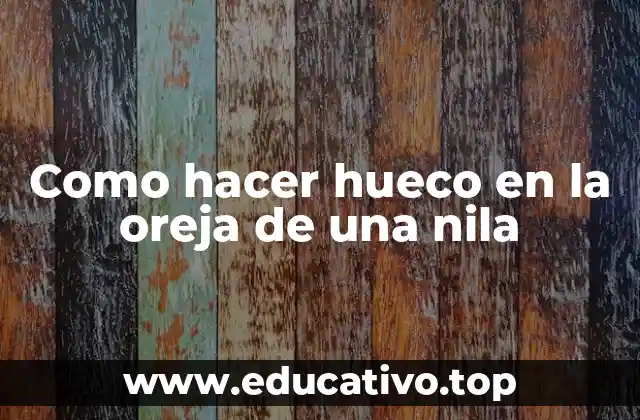 Como hacer hueco en la oreja de una nila