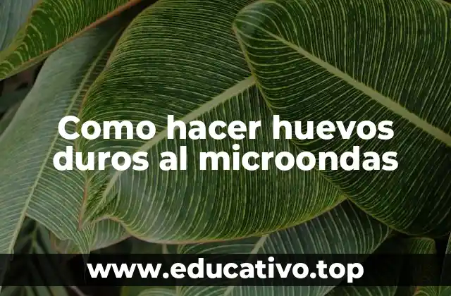 Como hacer huevos duros al microondas