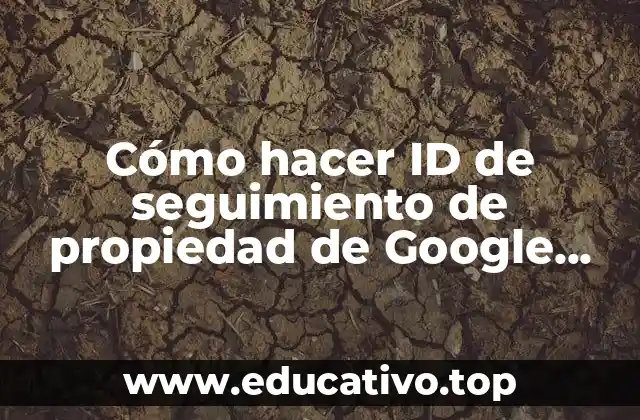 Cómo hacer ID de seguimiento de propiedad de Google Analytics
