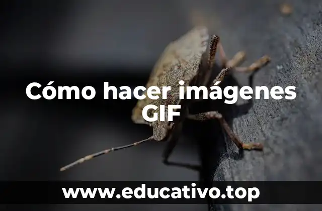 Cómo hacer imágenes GIF