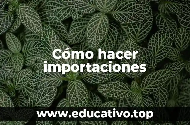 Cómo hacer importaciones