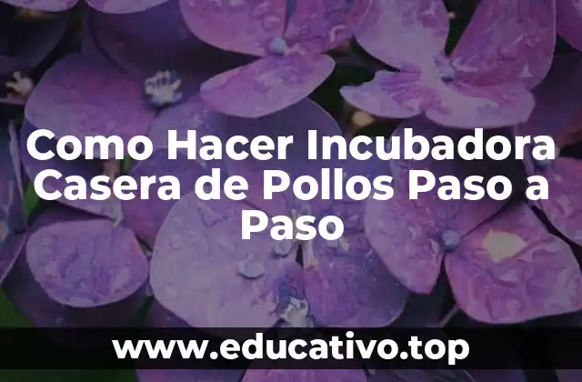Como Hacer Incubadora Casera de Pollos Paso a Paso