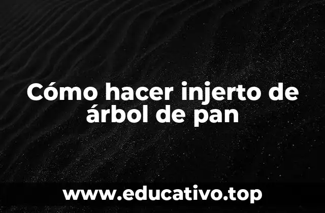 Cómo hacer injerto de árbol de pan