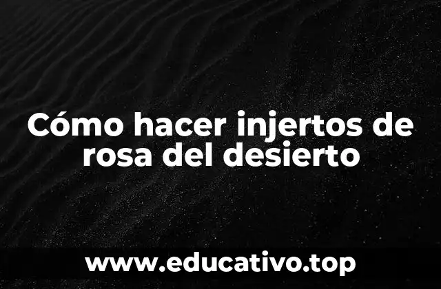 Cómo hacer injertos de rosa del desierto