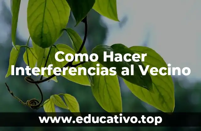 Como Hacer Interferencias al Vecino
