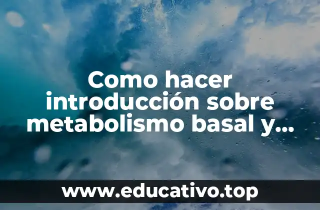 Como hacer introducción sobre metabolismo basal y factores