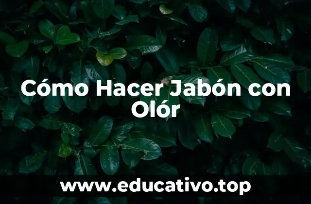 Cómo Hacer Jabón con Olór