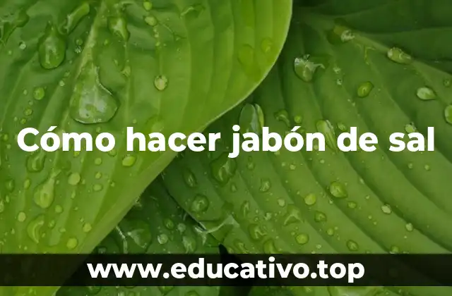 Cómo hacer jabón de sal