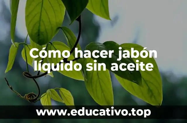 Cómo hacer jabón líquido sin aceite