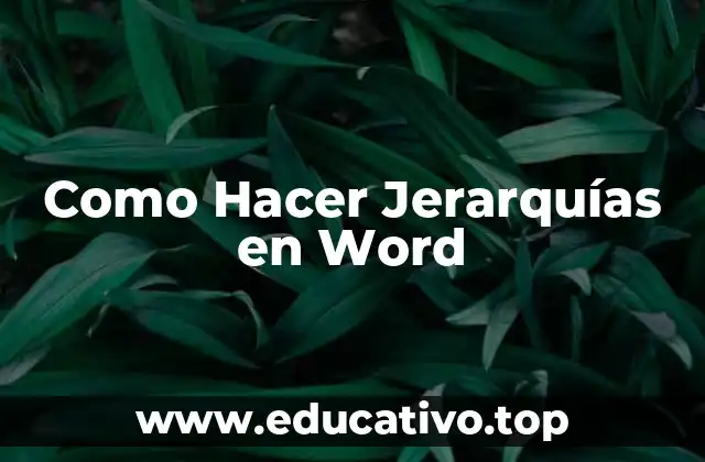 Como Hacer Jerarquías en Word