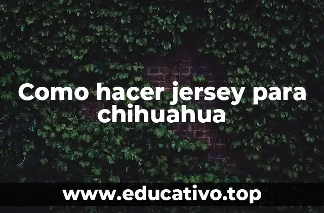 Como hacer jersey para chihuahua