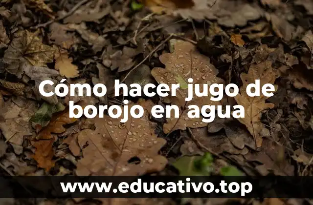 Cómo hacer jugo de borojo en agua