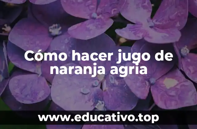 Cómo hacer jugo de naranja agria