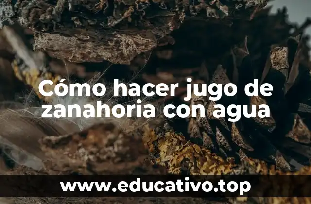 Cómo hacer jugo de zanahoria con agua