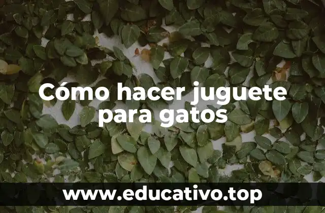Cómo hacer juguete para gatos