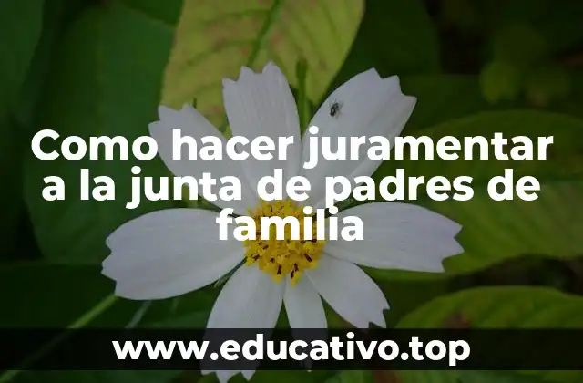 Como hacer juramentar a la junta de padres de familia