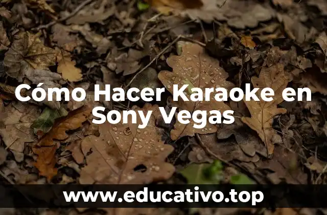 Cómo Hacer Karaoke en Sony Vegas