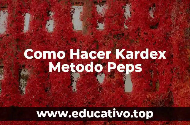 Como Hacer Kardex Metodo Peps