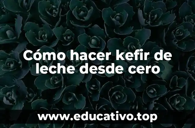 Cómo hacer kefir de leche desde cero