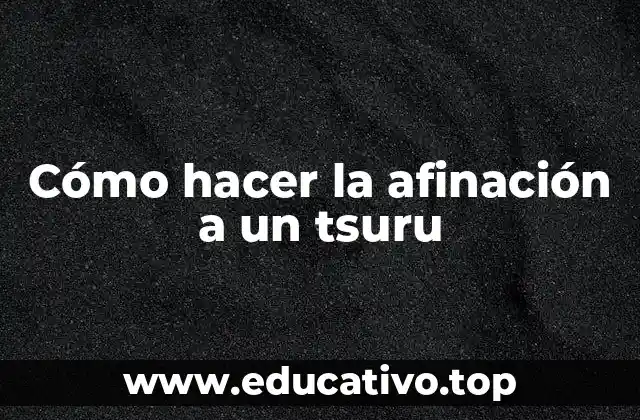 Cómo hacer la afinación a un tsuru