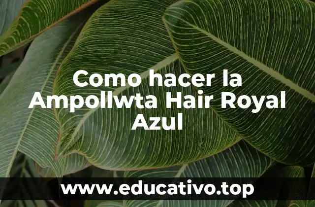 Como hacer la Ampollwta Hair Royal Azul