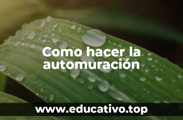 Como hacer la automuración
