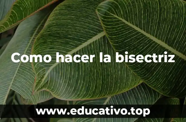 Como hacer la bisectriz