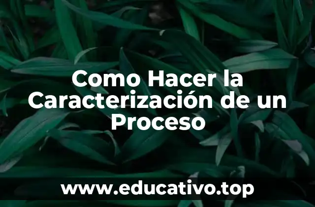 Como Hacer la Caracterización de un Proceso