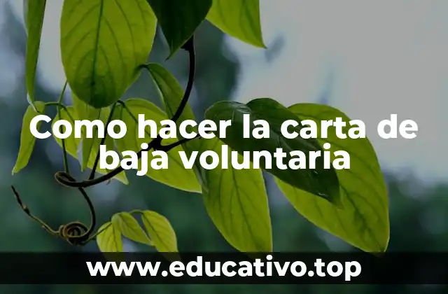 Como hacer la carta de baja voluntaria