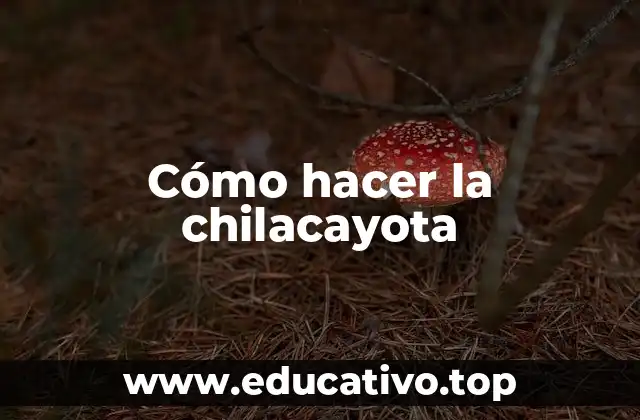 Cómo hacer la chilacayota